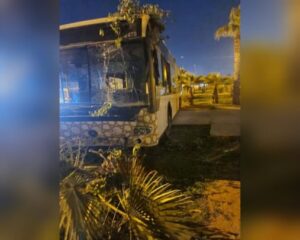 979a7965 f484 4e1a 9232 0eded375131b 507x405 1