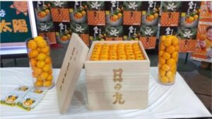 67a34d4223ade 768x432 1 686x386 1