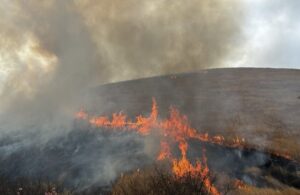 67c8382e4236047e046af637 622x405 1