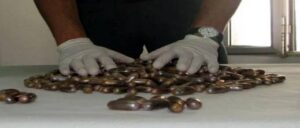 87185158 61895593