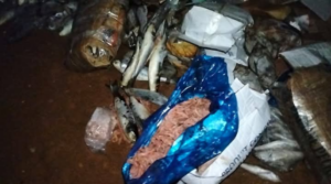 Capture decran 2025 03 06 230356 686x383 1