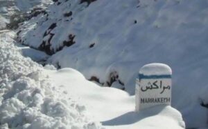 Screenshot 01 02 2025 16 03 17 649x405 2