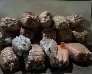 واجهوا الأمن بالرصاص.. عملية أمنية محكمة تطيح بأفراد عصابة للمخدرات 6 6e9d1ace 9cfc 473e 8ad6 9811aa6560c3 507x405 1