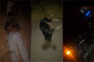 كلب يرسل سائق دراجة نارية في حالة حرجة إلى المستشفى بمراكش 5 51e6ad37 9325 4087 b3b7 5f6704c58f42 608x405 1