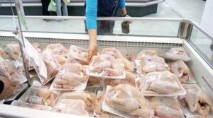 Feasibility study for a poultry shop