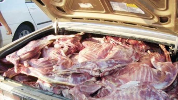 درك-تامنصورت-يحجز-كمية-مهمة-من-لحوم-الذبيحة-السرية