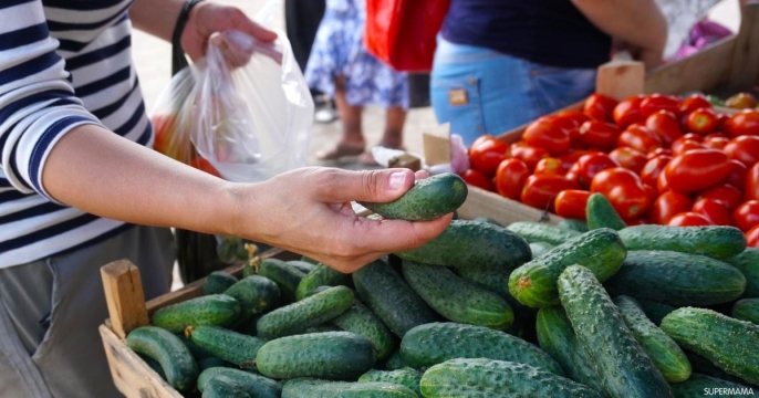 المغرب-يسجل-رقما-قياسيا-في-صادرات-الخيار-إلى-إسبانيا