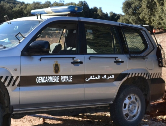 درك-“إساكن”-بنواحي-الحسيمة-يحجز-شحنة-لحوم-فاسدة-قادمة-من-فاس