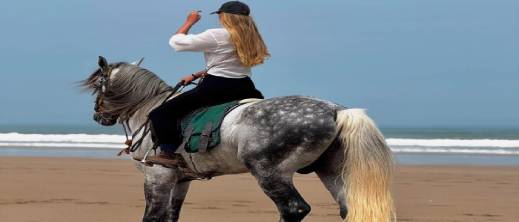 اغتصاب-سائحة-بريطانية-يضع-“مرشدا-مزيفا”-خلف-القضبان