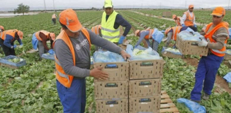 إسبانيا.-مطالب-للحكومة-برفع-عدد-العمال-الموسميين-المغاربة