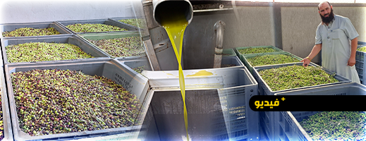 انطلاق-موسم-عصر-الزيتون-بأتروكوت.-موسم-واعد-يفرح-الفلاحين-وينشط-الاقتصاد-المحلي