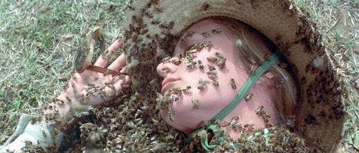 سيدة-تفقد-حياتها-إثر-هجوم-مفاجئ-للنحل