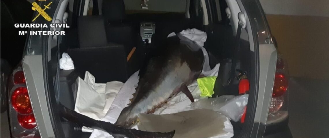 الحرس-المدني-الإسباني-يوقف3-صيادين-مغاربة-بسبب-صيد-تونة-حمراء-محظورة