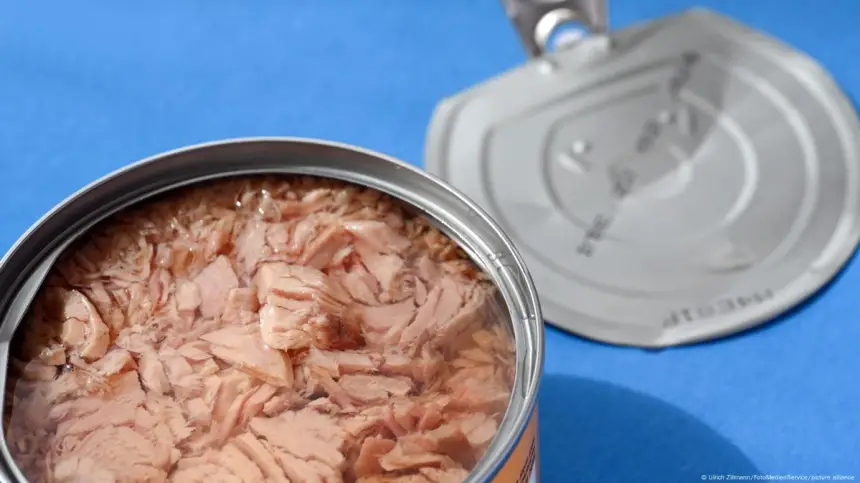 كتامة…-وجبة-“طون”-فاسدة-كادت-تقتل-خمسة-أشخاص