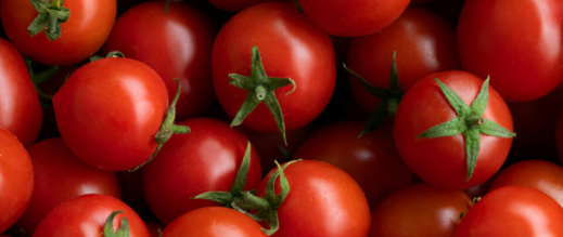 تحقيق-فرنسي:-طماطم-مغربية-تحتوي-على-مبيدات-خطيرة