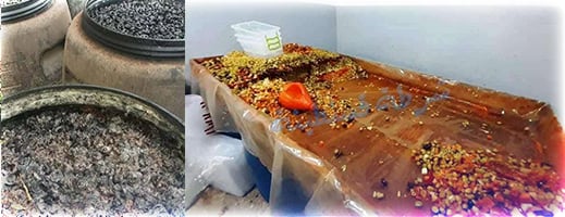 معامل-سرية-لتصبير-زيتون-و”هريسة”-مغشوشين-بالجهة-الشرقية.-ومرصد-يحذر