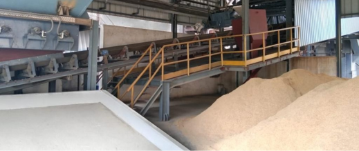 بعد-اتهامات“طحن-الورق”.-السلطات-تغلق-9-مطاحن-بسبب-شبهات-في-جودة-الدقيق