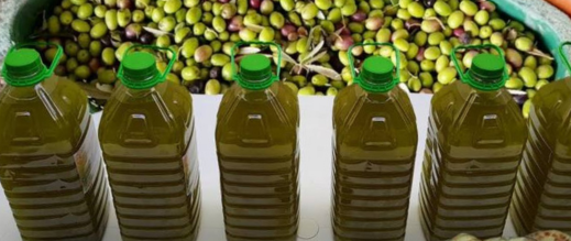 درك-بني-ملال-يضبط-9-أطنان-من-زيت-الزيتون-ممزوج-بزيت-المائدة-كانت-موجهة-للأسواق