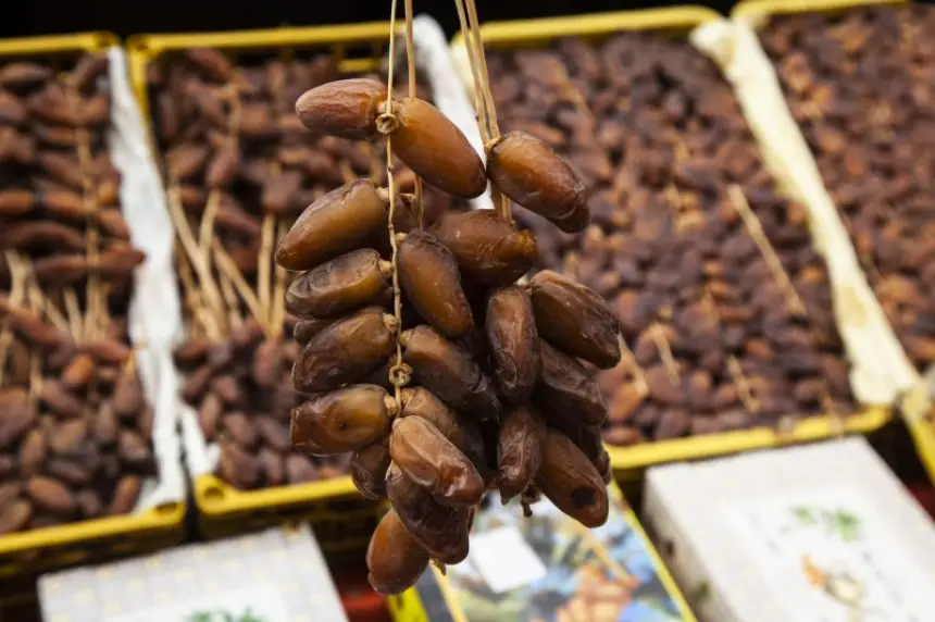 التمور-المصرية-تغزو-الأسواق-المغربية-ومخاوف-من-إفلاس-المنتجين-المحليين