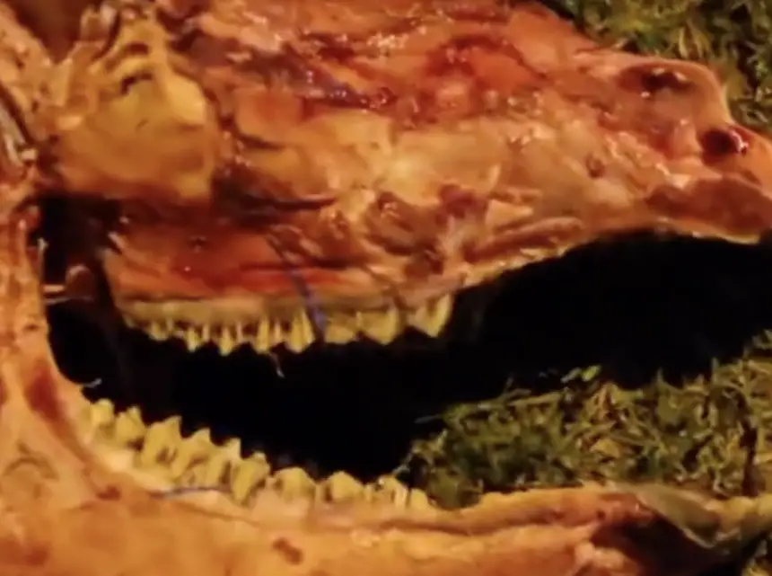 جماجم-حمير-بطنجة-تثير-المخاوف-من-تسويق-لحوم-غير-صالحة