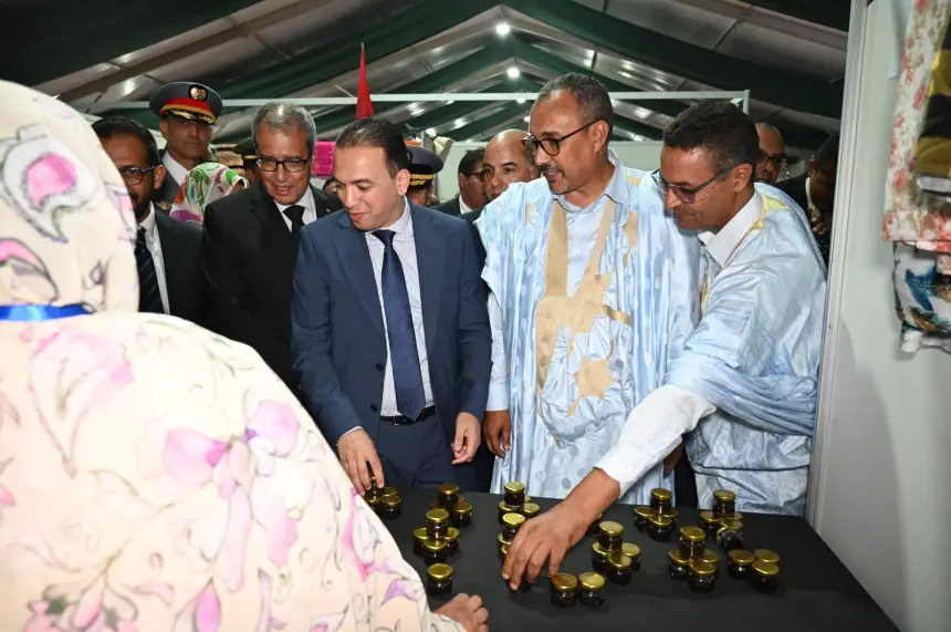 السعدي-من-الداخلة-يقوم-بزيارة-عمل-تشمل-الصناعة-التقليدية-والاقتصاد-الاجتماعي-والتضامني