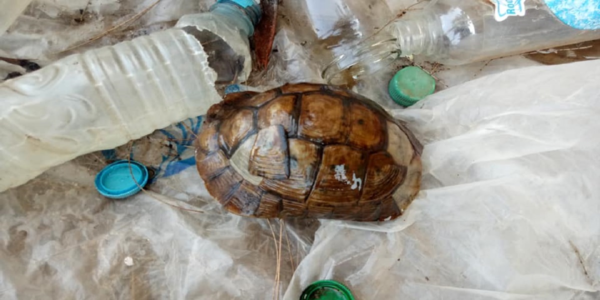 النصب-عبر-الشعوذة-تطيح-بإمام-زاوية-في-قبضة-الأمن