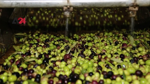 زيت-مسموم-في-أسواق-الناظور.-مطاحن-تتلاعب-بصحة-المواطنين-وسط-غياب-الرقابة