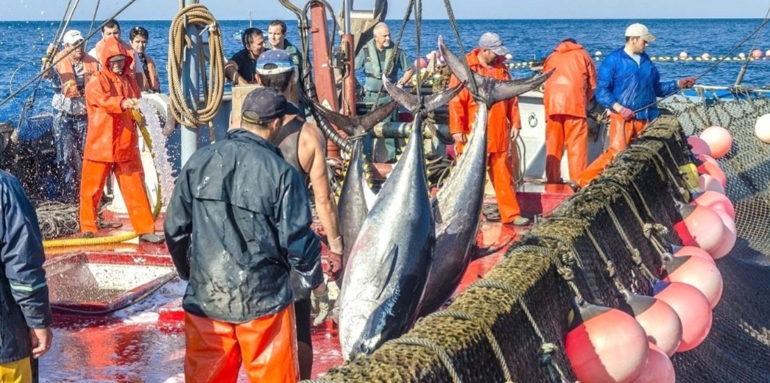 الاتحاد-الأوروبي-يفتح-مفاوضات-جديدة-مع-المغرب-حول-اتفاق-الصيد-البحري