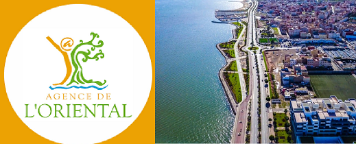 وكالة-تنمية-اقاليم-جهة-الشرق.-مشاريع-بلا-اثر-وبصمة-غائبة-بالناظور