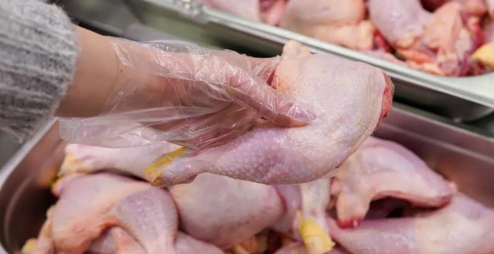 أوروبا-تفتح-أبواب-أسواقها-لدواجن-المغرب-وإسبانيا-تصف-القرار-بـ”الطعنة”