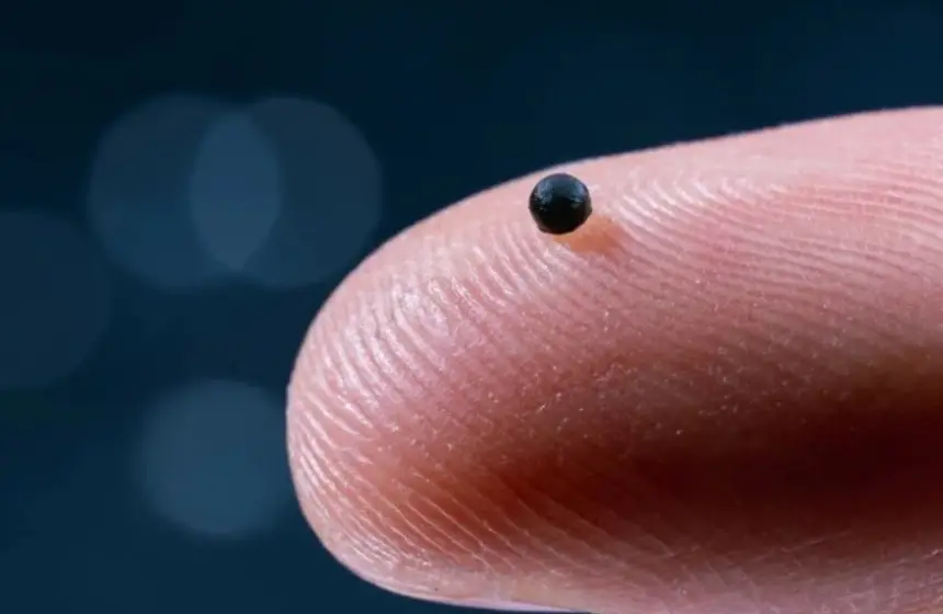 علماء-يطورون-روبوتا-بحجم-“حبة-رمل”-يسبح-داخل-الأوعية-الدموية