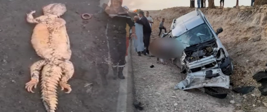 الحسيمة.-عمل-شعوذة-داخل-سيارة-يرجح-أن-يكون-سبب-حادثة-سير-سابقة