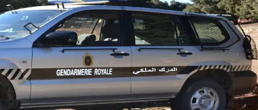 الدرك-الملكي-بالحسيمة-يحجز-130-غراما-من-الكوكايين-وسيارات-بلوحات-مزورة