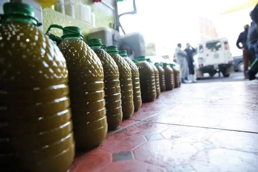 “حماية-المستهلك”-تحسم-الجدل-حول-جودة-زيت-الزيتون-المغربي