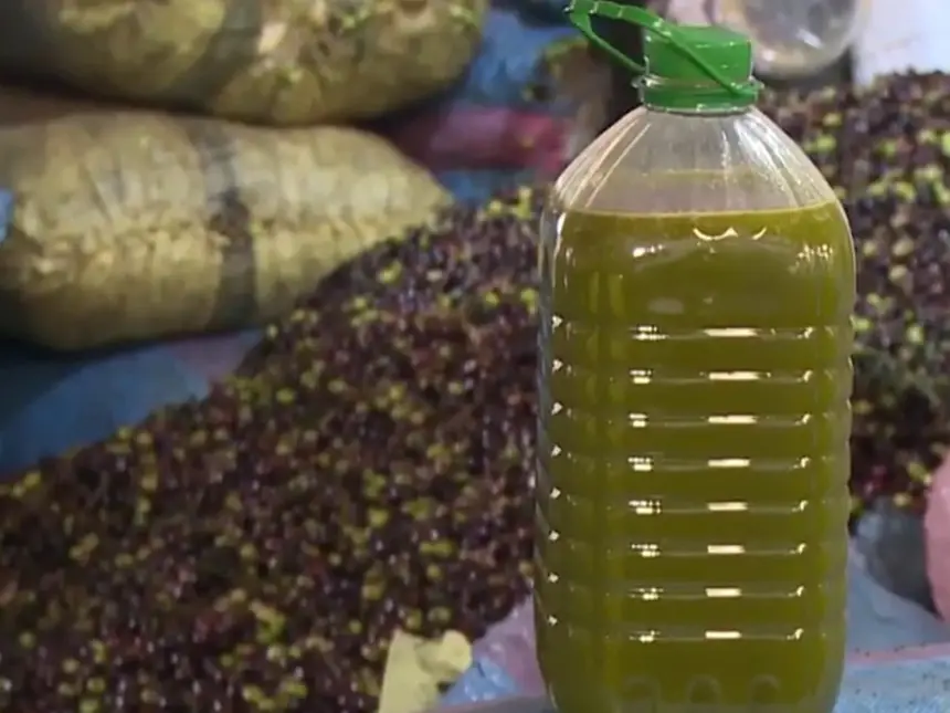 تحذير-للمغاربة.-الغش-في-زيت-الزيتون-يهدد-صحتكم-ويستهدف-جيوبكم-وطريقة-وحيدة-لكشفه