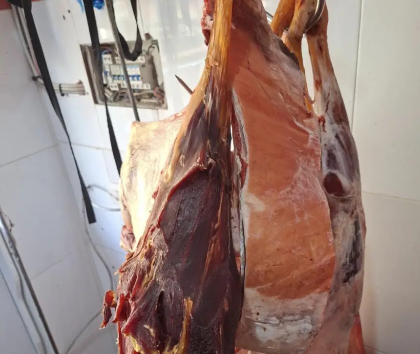 ذبيحة-سرية-ولحوم-فاسدة-بمرتيل.-لجنة-مختلطة-تُسقط-“مخزن-الموت”-بحي-الديزة