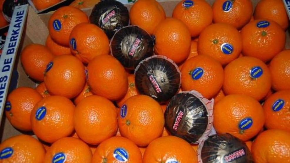 بعد-الطماطم-وزيت-الزيتون.-شحنة-مندرين-مغربية-تمنع-من-دخول-روسيا-بسبب-حشرة-مشبوهة