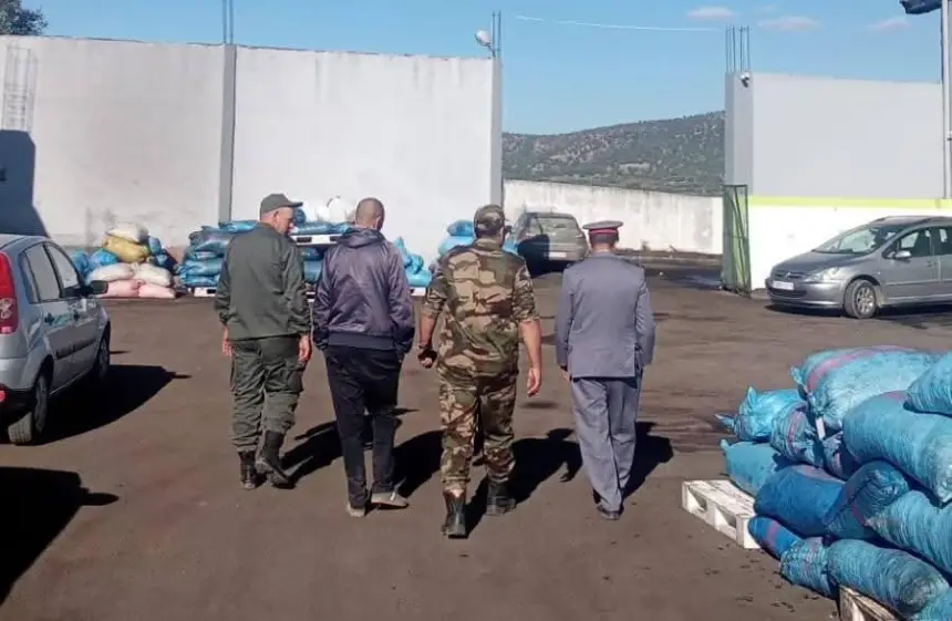 وزان.-السلطة-الإقليمية-ترصد-عدة-مخالفات-داخل-معاصر-الزيتون-بالتزامن-مع-موسم-الجني