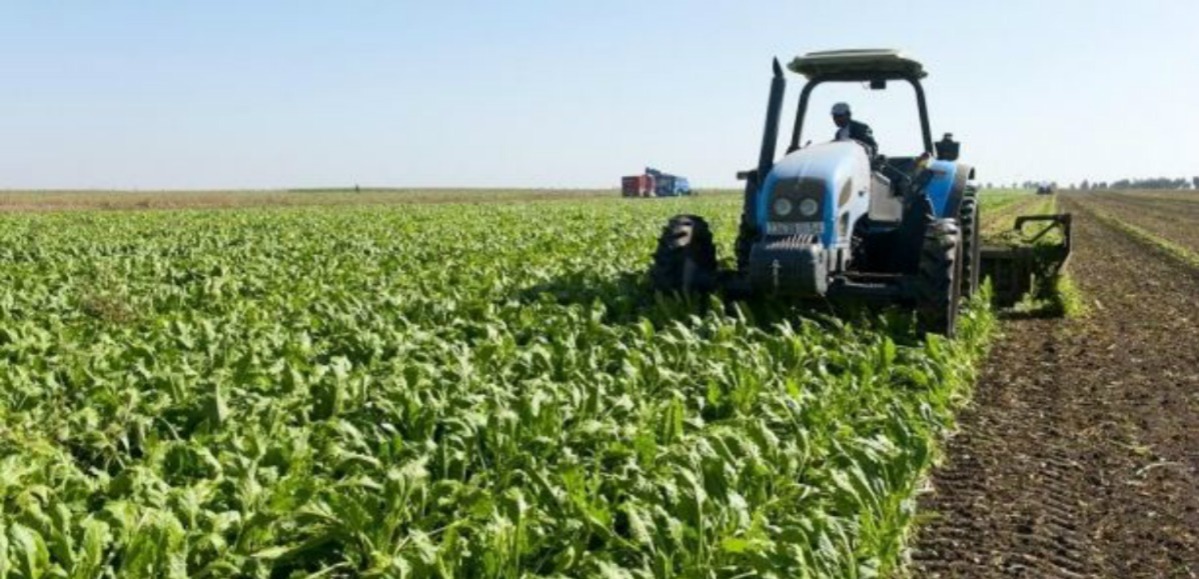 تحذيرات-من-الإفراط-في-استخدام-المضادات-الحيوية-في-الفلاحة-وتربية-الماشية