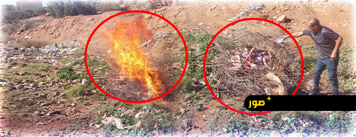 حجز-لحوم-فاسدة-ببن-الطيب-وإتلافها-من-طرف-السلطات-المحلية.-صحة-المواطنين-خط-أحمر