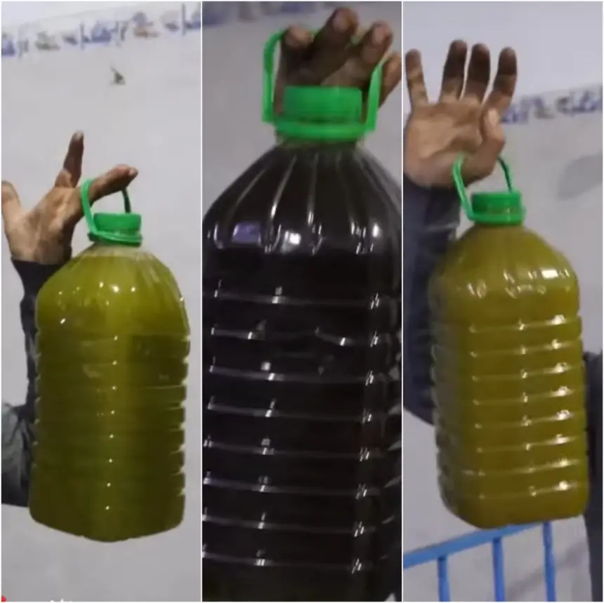 زيتون-ݣرسيف-“الرومي”-يدفع-الوزانيين-لإعلان-استيائهم-وتحذير-الباحثين-عن-“الزيت-الوزانية-الحرة”