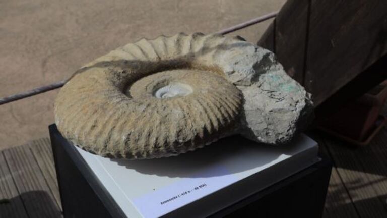 فرنسا-تحجز-60-مستحاثة-نادرة-مهربة-من-المغرب