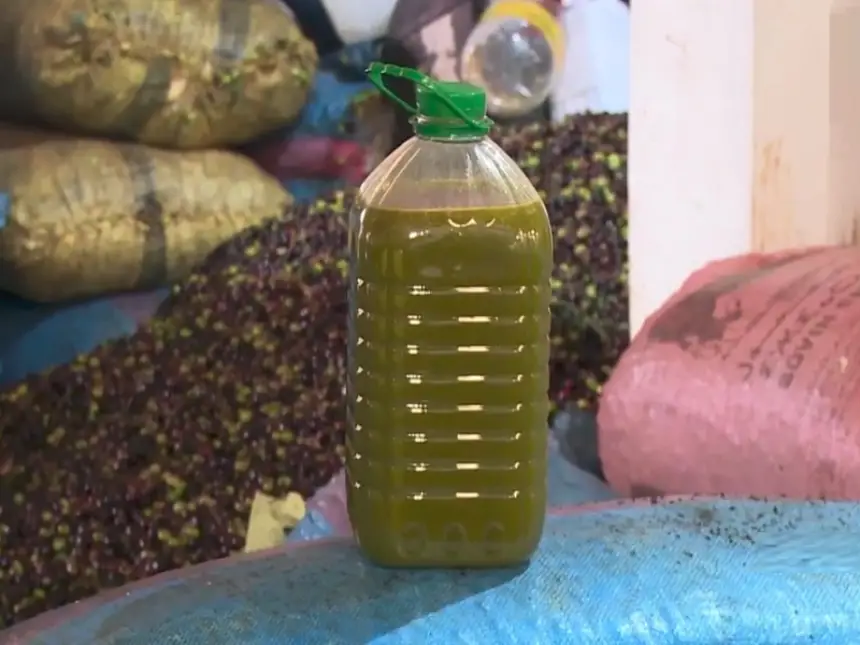 رغم-موقعه-بين-كبار-المنتجين-عربياً…-لماذا-تستمر-أسعار-زيت-الزيتون-في-إثقال-كاهل-المغاربة؟