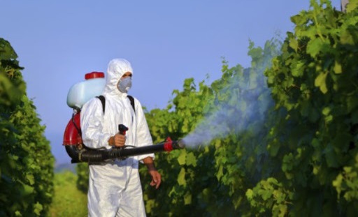 رغم-الحظر-الداخلي…-أوروبا-تصدر-122-ألف-طن-من-المبيدات-الخطرة-عام-2024-والمغرب-في-الصدارة