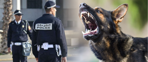 مصرع-شرطي-مرور-في-وجدة-إثر-هجوم-كلاب-ضالة