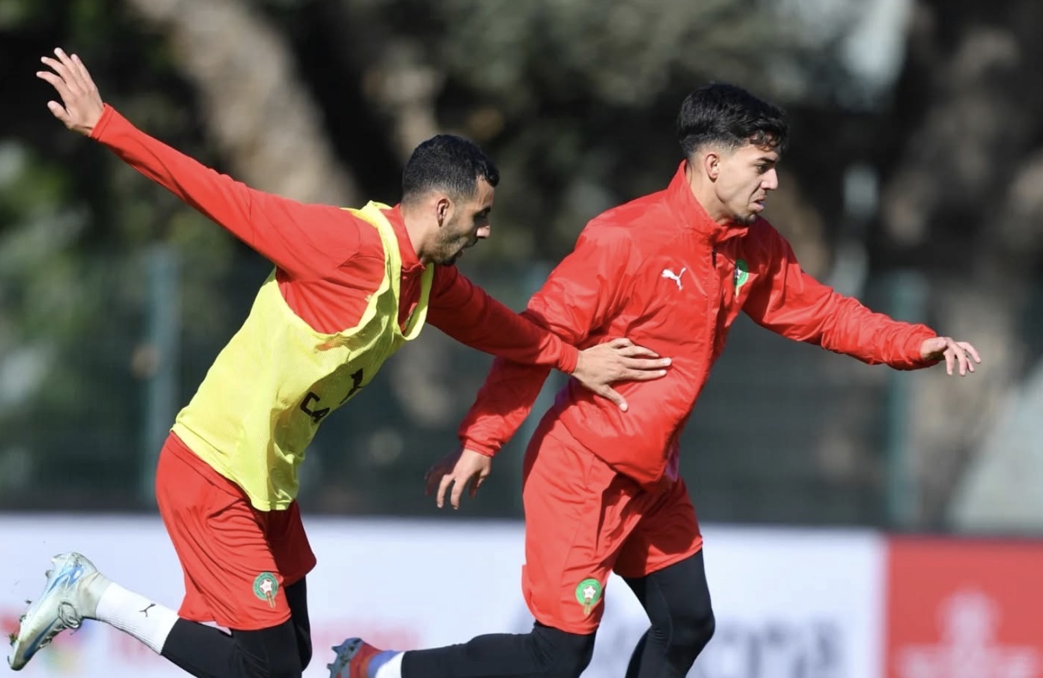 الأسود-تبدأ-التحضير-لمواجهة-مالي-في-غياب-سايس-وحضور-بلعمري