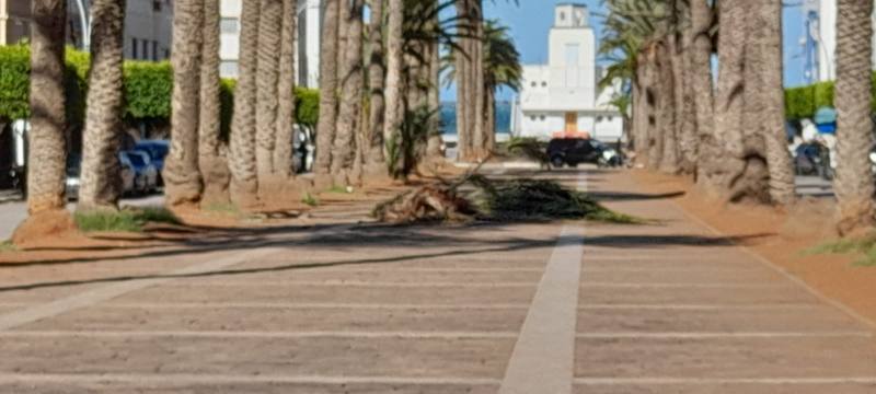 أخيرا.-المجلس-الإداري-لمارتشيكا-يصادق-على-تهيئة-شارع-محمد-الخامس-وسط-الناظور-و30-مليار-لتهيئة-الجماعات