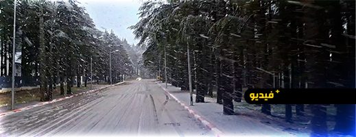 برد-قارس-وتساقطات-ثلجية-كثيفة-بجماعة-إساكن-بالحسيمة