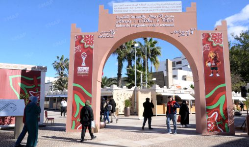 أكادير-تحتفي-بالأركان.الشجرة-الأيقونية-بالمغرب