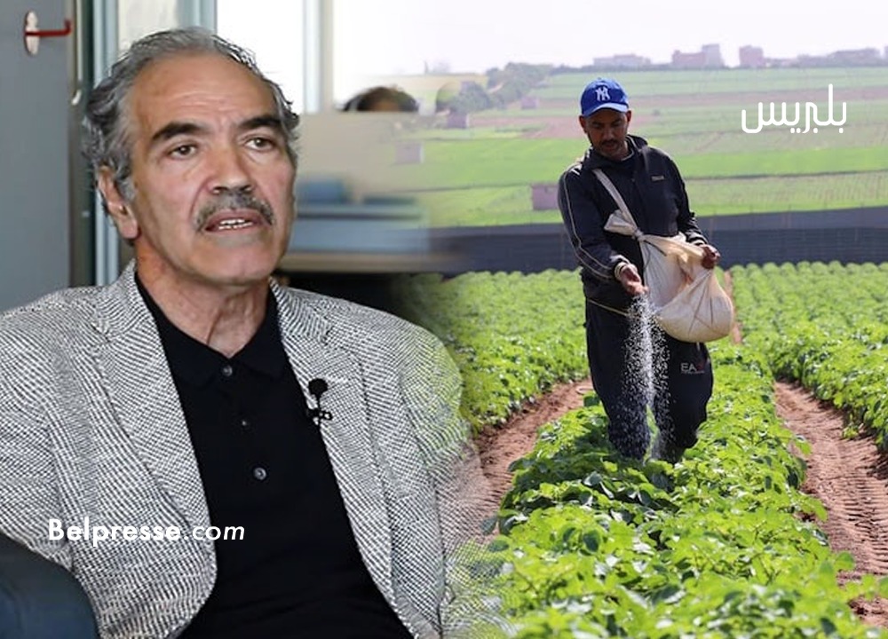 الكتاني-يُعَدّد-أثر-التساقطات-المطرية-الأخيرة-على-الاقتصاد-الوطني